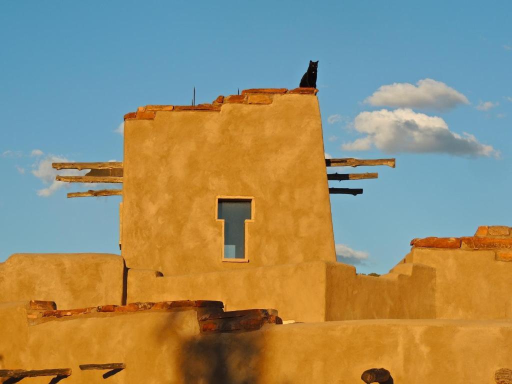 Canyon Of The Ancients Guest Ranch Cortez Kültér fotó