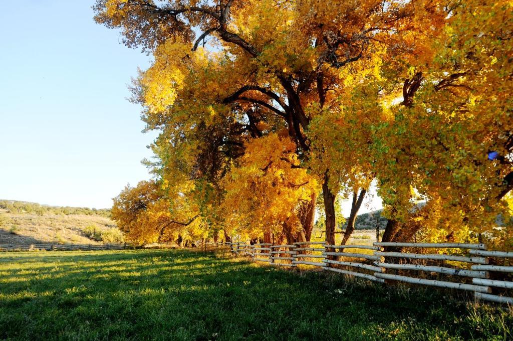 Canyon Of The Ancients Guest Ranch Cortez Kültér fotó